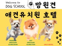 망원견 애견유치원&애견호텔