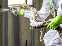 씨이아이씨코리아