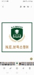 NE브릭스
