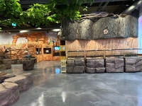 쥬뗌므 키즈랜드