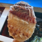 거제해금강회센터