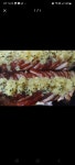 족발시대