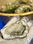 수산물회백화점