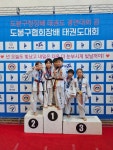 한국체대 월드태권도