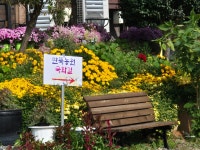 딴뚝통나무집식당