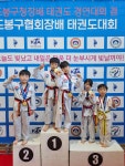 한국체대 월드태권도
