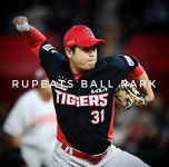 루핏스 볼 파크