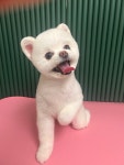 특별하개