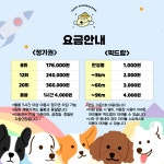 애견유치원&미용실 무한댕