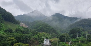 단지골몽상가