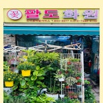 팔도화원