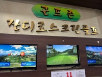 잔디로스크린골프