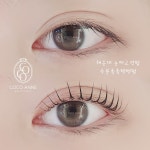 코코앤뷰티 속눈썹펌