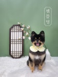 젠틀멍