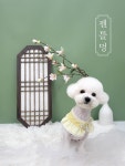 젠틀멍