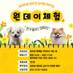 해이당 부산애견호텔 강아지유치원 반려견미용목욕 교육훈련