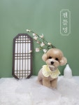 젠틀멍