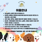 애견유치원&미용실 무한댕