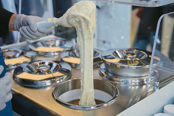 설악젤라또 사진