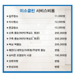 미소클린