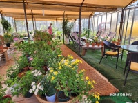 문솔커피토스트