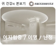서울귀감이비인후과의원 강남