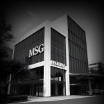 엠에스지코리아