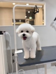 엔조이어블