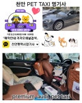 멍기사
