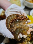 마섬포 숙이네