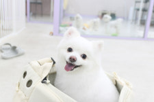 아콩하우스