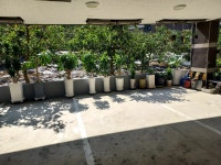 대구대황금알공인중개사사무소