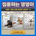 도그유토피아 강아지 유치원