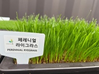 나라조경자재