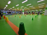 가촌코리아태권도