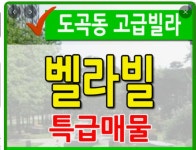 도곡공인중개사사무소