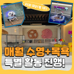 해피멍데이 강아지유치원 애견유치원