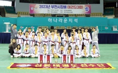 신흥태권도