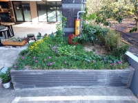 대구대황금알공인중개사사무소