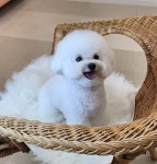 몽앤미