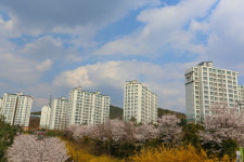 좋은집광교호반공인중개사사무소