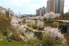 좋은집광교호반공인중개사사무소