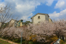 좋은집광교호반공인중개사사무소