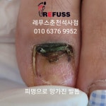 레푸스 춘천석사점
