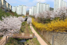 좋은집광교호반공인중개사사무소