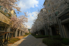 좋은집광교호반공인중개사사무소