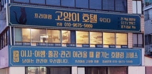 프리미엄고양이호텔 우다다