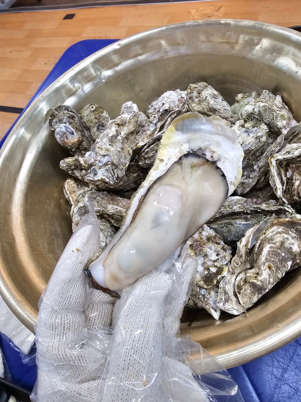 통영굴찜 이미지 2