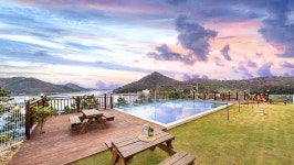 해피독애견펜션