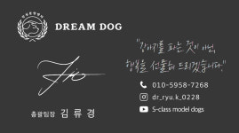 드림독 강아지분양 안심분양센터 잠실점